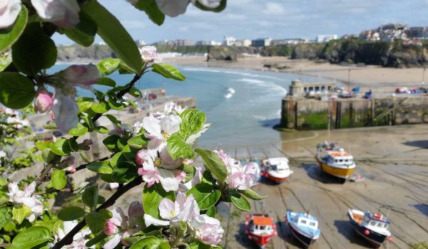flowers and boats