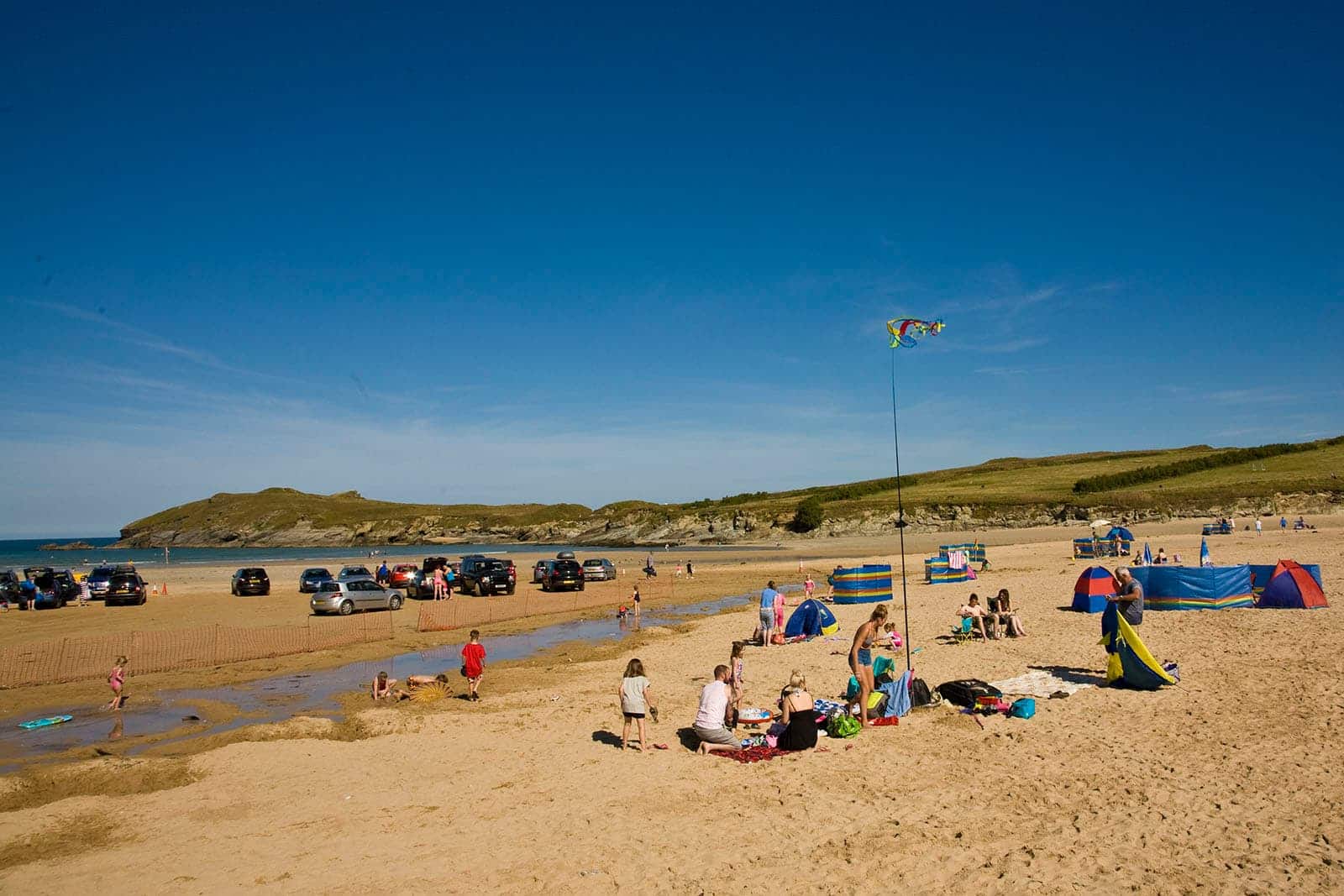 yellow flowers at Porth beach