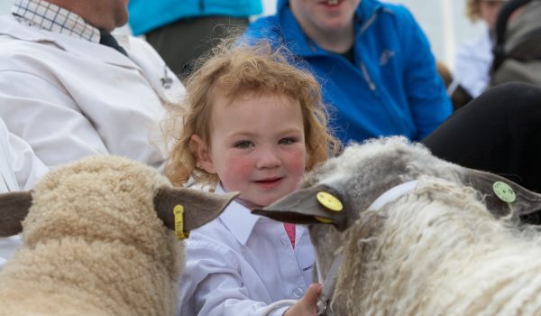 child with sheep