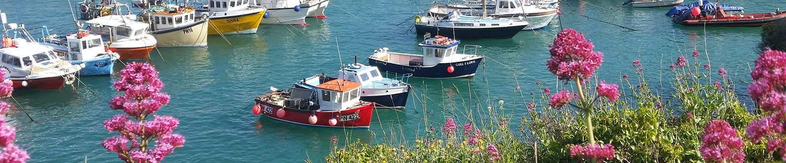 flowers and boats in Newquay