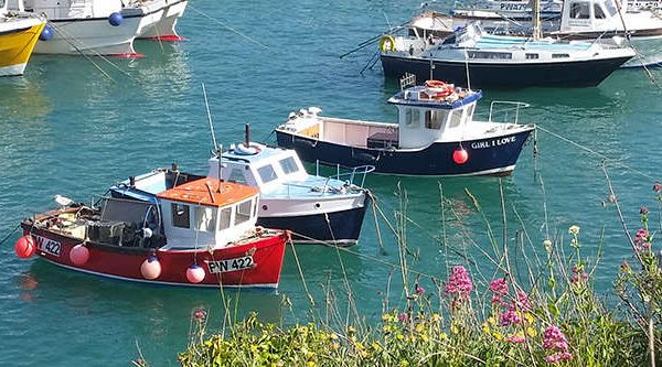 flowers and boats in Newquay