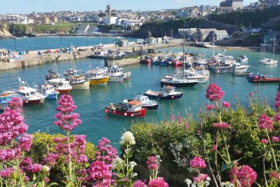 Newquay harbour