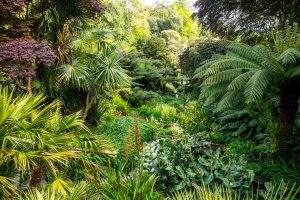 gardens at Trebah