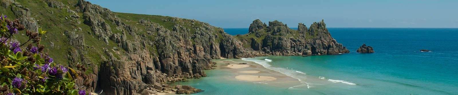 cliffs and flowers at Porthcurno