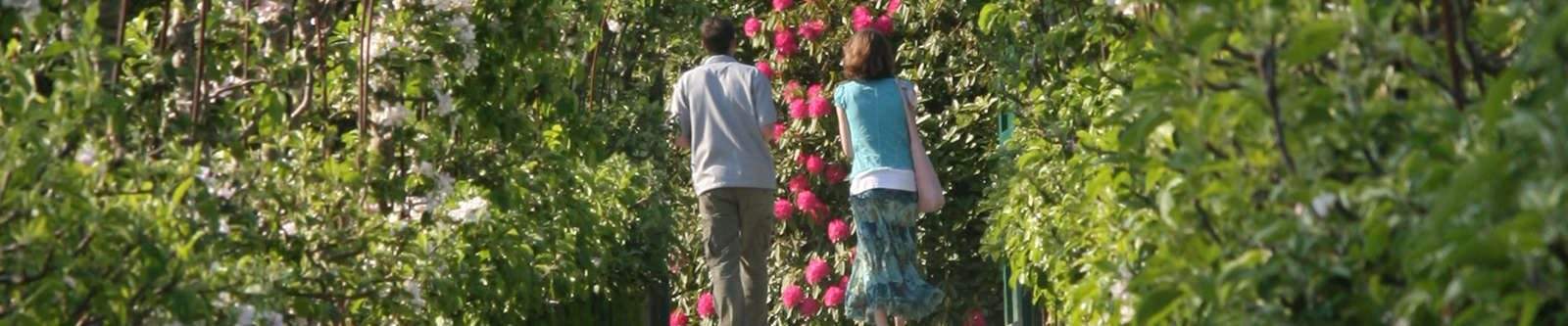 couple walking through apple arches