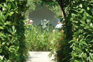 view of the Italian Garden