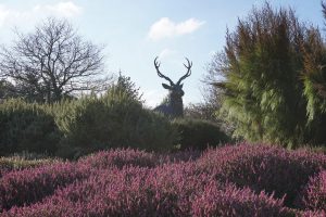 Stag sculpture