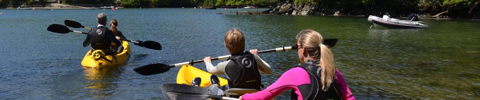 people kayaking in a river