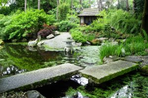 Japanese Garden at Pinetum Park & Pine Lodge Gardens