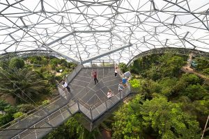 viewing platform at Eden