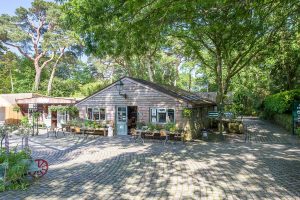 exterior of cafe and shop at Pinetum Park & Pine Lodge Gardens