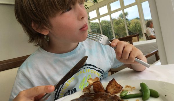 little boy eating a roast dinner