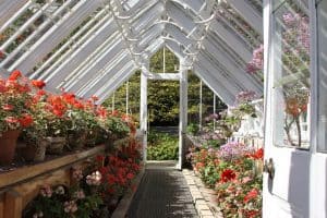 Inside view of Victorian Greenhouse