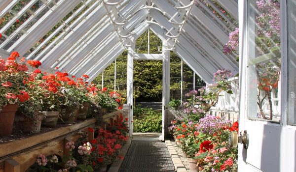 Victorian Greenhouse