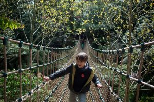 young person walking along the jungle rope bridge