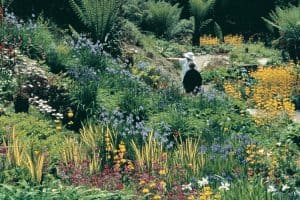 water garden at Trebah