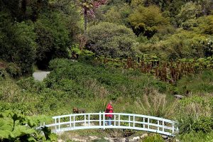 Woman on blue bridge at Trebah