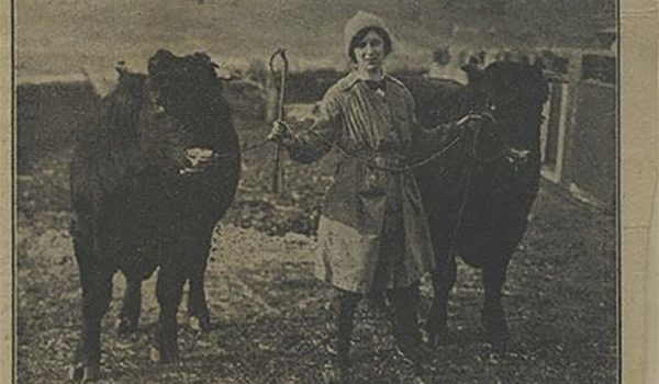 c m matheson farming