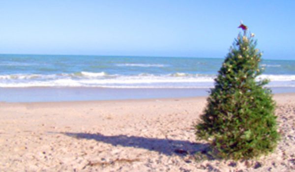 Christmas tree on a beach