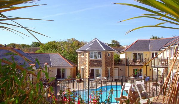 palm trees and swimming pool