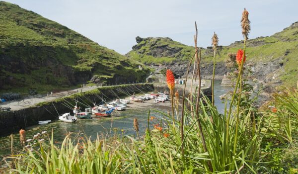 Boscastle harbour