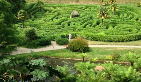 Glendurgan Gardens Maze