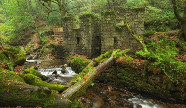 Kennall Vale ruins of gunpowder mill