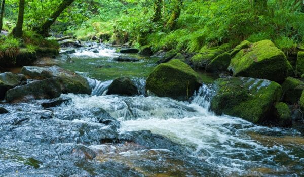 Golitha Falls