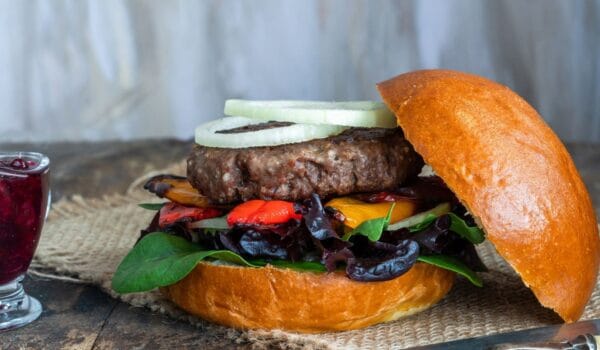 Venison Burger