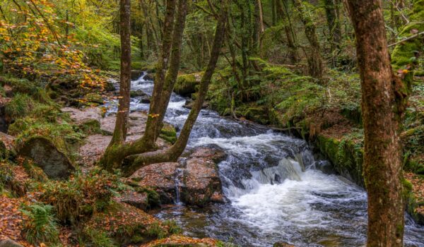 cascading water at golitha falls