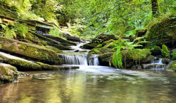 waterfall at St Nectan's Glen
