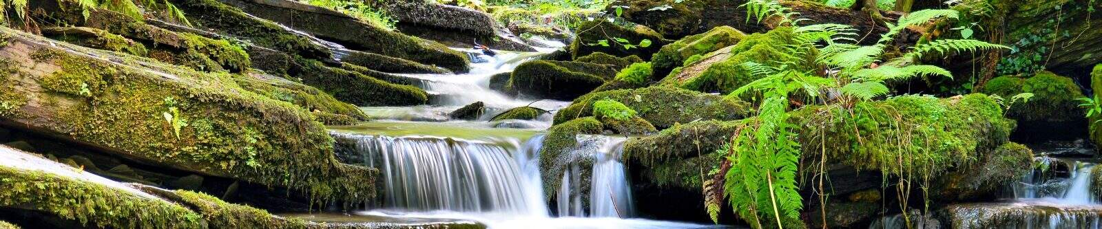 St Nectan's Glen Waterfall
