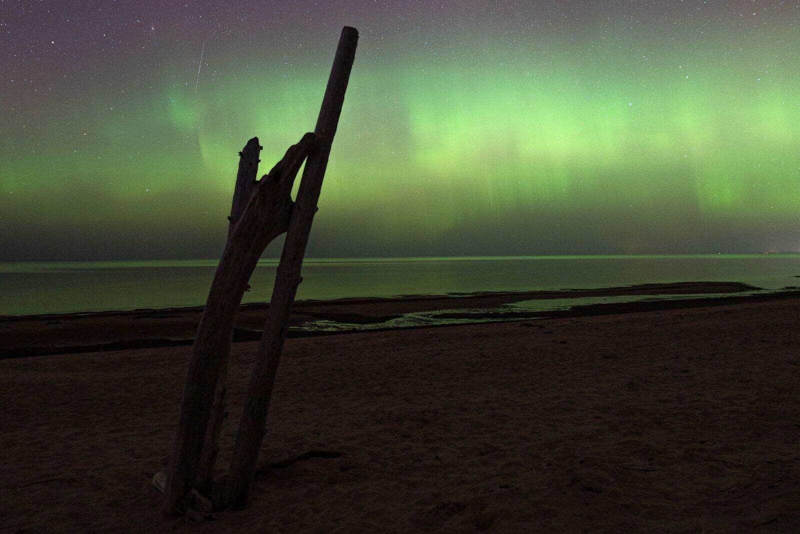 Northern lights - driftwood and sea