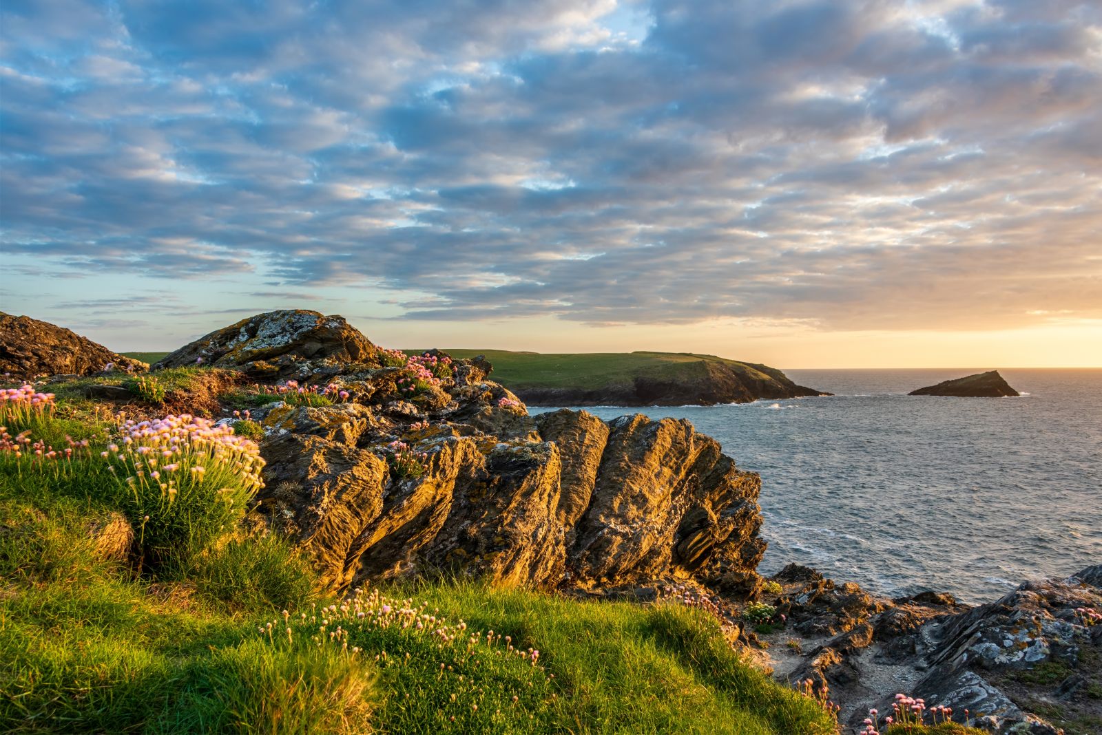 Pentire Headland